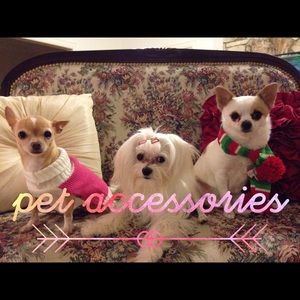 Pet Accessories